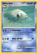 Water Bear