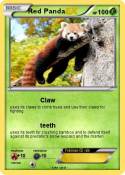 Red Panda