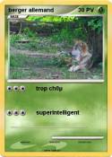 berger allemand