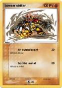 bowser striker