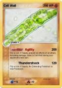 Cell Wall