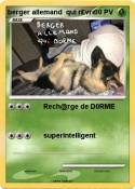berger allemand