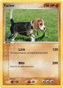 Tucker