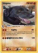 Kingsley