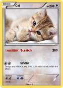 Cat