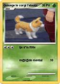 Gièsege le corgi
