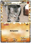 Karacat