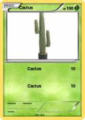 Cactus