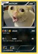 you're pet