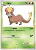 ferret