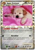 Super Dormeur