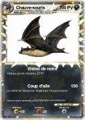 Chauve-souris