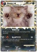 Sleepy cat