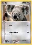 Koala