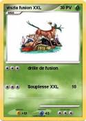 viszla fusion