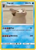 Pop cat