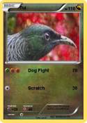 Tui
