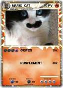 MARIO CAT