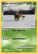berger allemand