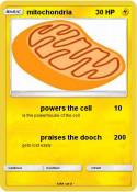 mitochondria