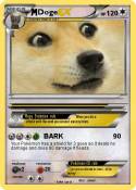 Doge