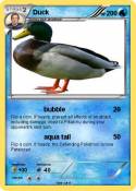 Duck