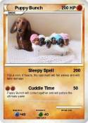Puppy Bunch