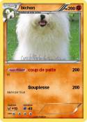 bichon