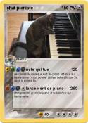 chat pianiste