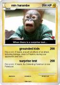 min harambe