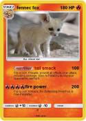 fennec fox