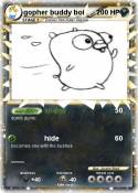 gopher buddy