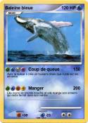 Baleine bleue
