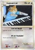 Keyboard cat