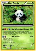 Oso Panda