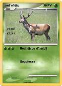 cerf éfi@c