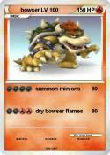 bowser LV 100