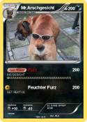 Mr.Arschgesicht