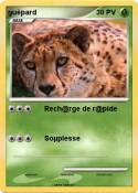 guèpard