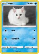 Kitten