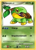 Tortipouss