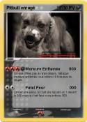 Pitbull enragé
