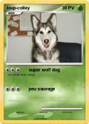 loup-colley