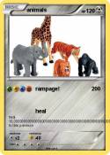 animals