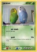 parakeet