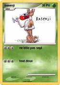 basenji