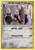 MITTEL FANG