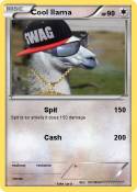 Cool llama