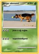 berger allemand