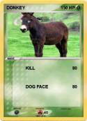 DONKEY